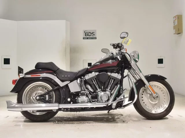 Harley-Davidson HARLEY FLSTF1580