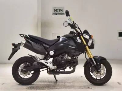 Honda GU ROM
