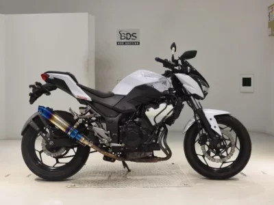 Kawasaki Z250