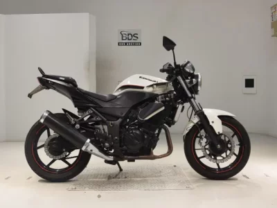 Kawasaki NINJA250R