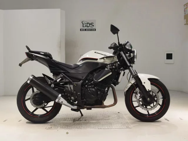 Kawasaki NINJA250R