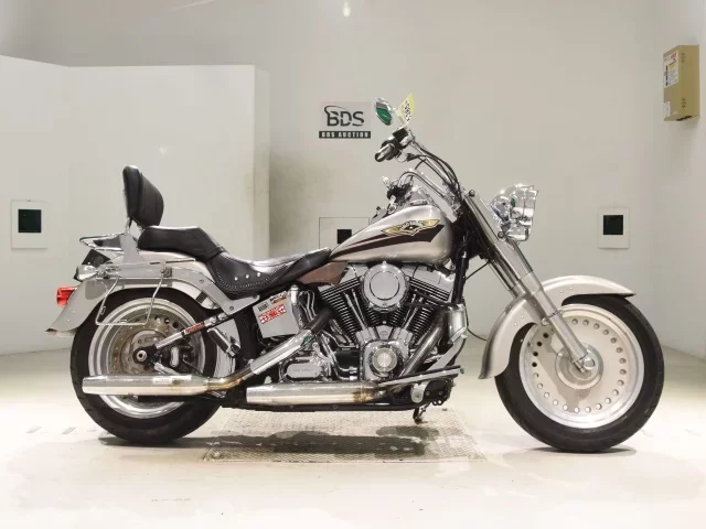 Harley-Davidson HARLEY FLSTF1580