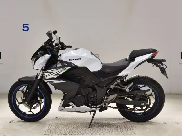 Kawasaki Z250