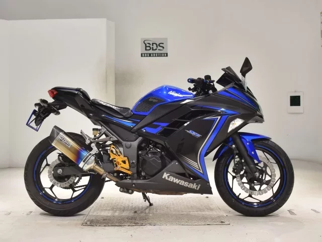 Kawasaki NINJA250 лот № 2696 оценка 5  с аукциона в Японии