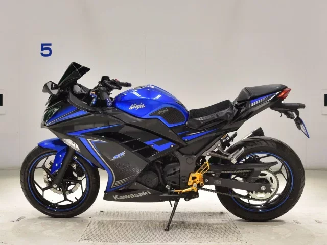 Kawasaki NINJA250