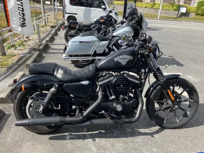 Harley-Davidson HARLEY XL883N