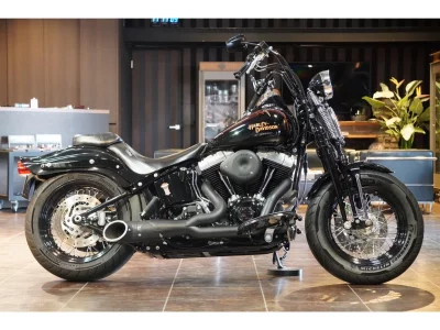 Harley-Davidson HARLEY FLSTSB