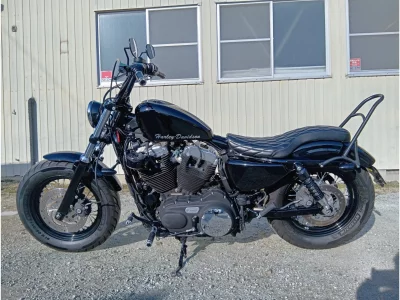 Harley-Davidson HARLEY XL1200X