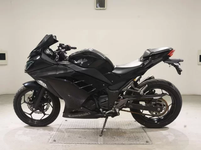 Kawasaki NINJA250