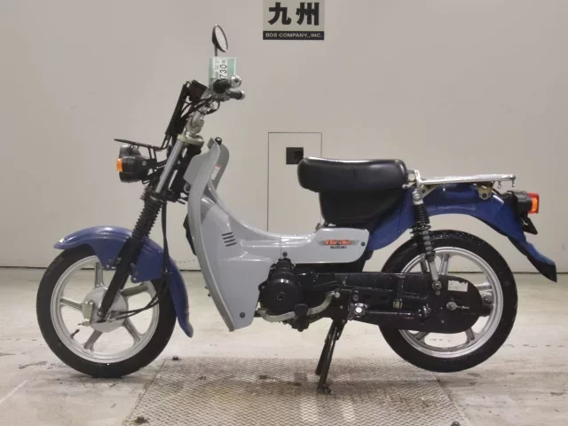 Suzuki BIRDIE90