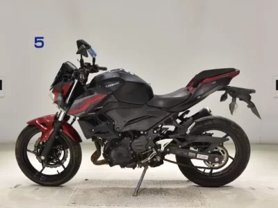 Kawasaki Z250-2