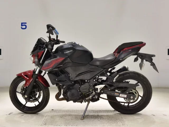 Kawasaki Z250-2