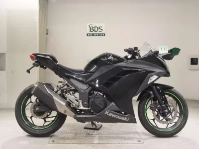 Kawasaki NINJA250