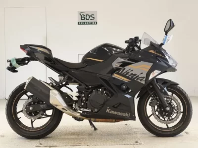 Kawasaki NINJA250-2