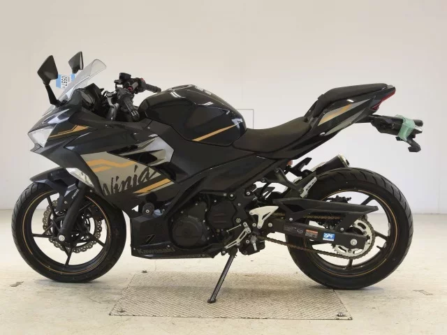Kawasaki NINJA250-2