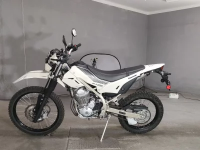 Kawasaki KLX230 SHERPA