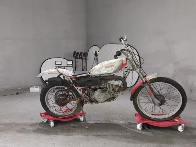 Suzuki RL250