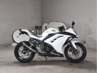 Kawasaki NINJA250