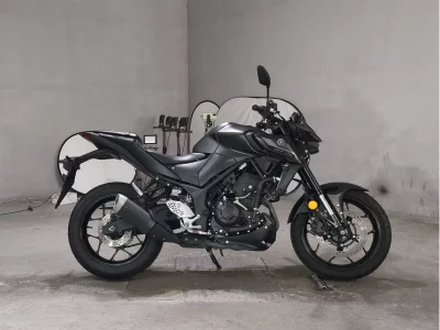 Yamaha MT-25