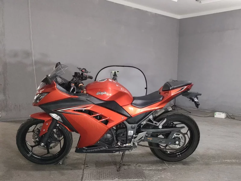 Kawasaki NINJA250