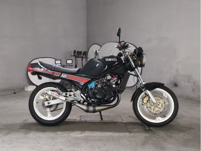 Yamaha RZ250R