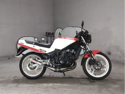 Yamaha RZ250R