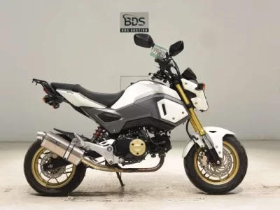 Honda GU ROM