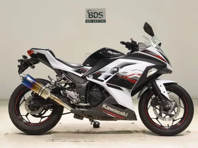 Kawasaki NINJA250ABS лот № 5349 оценка 4  с аукциона в Японии