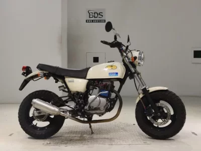 Honda APE100