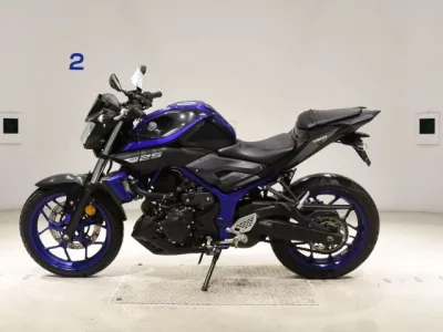 Yamaha MT-25  с аукциона в Японии