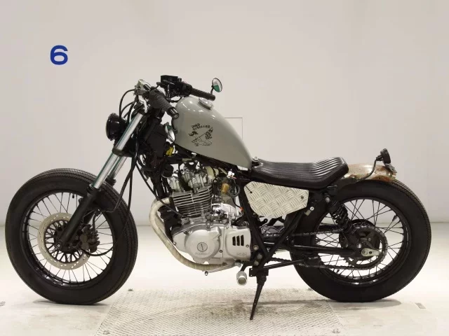 Suzuki GLASS TRACKER BIG BOY