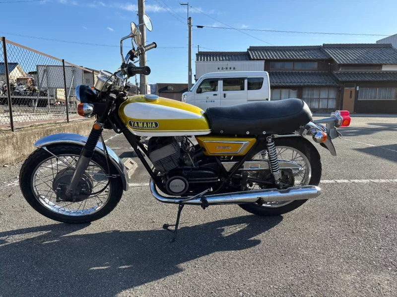 Yamaha DX250