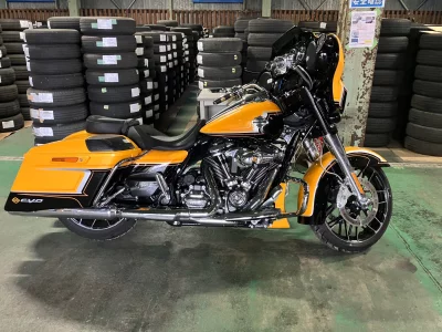 Harley-Davidson HARLEY FLHXSECVO