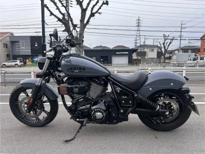 Other INDIAN CHI-FU DARK HOSE