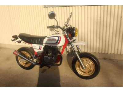 Honda APE100