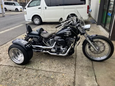Harley-Davidson HARLEY FLSTF TRIKE