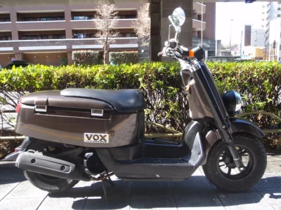 Yamaha VOX DX