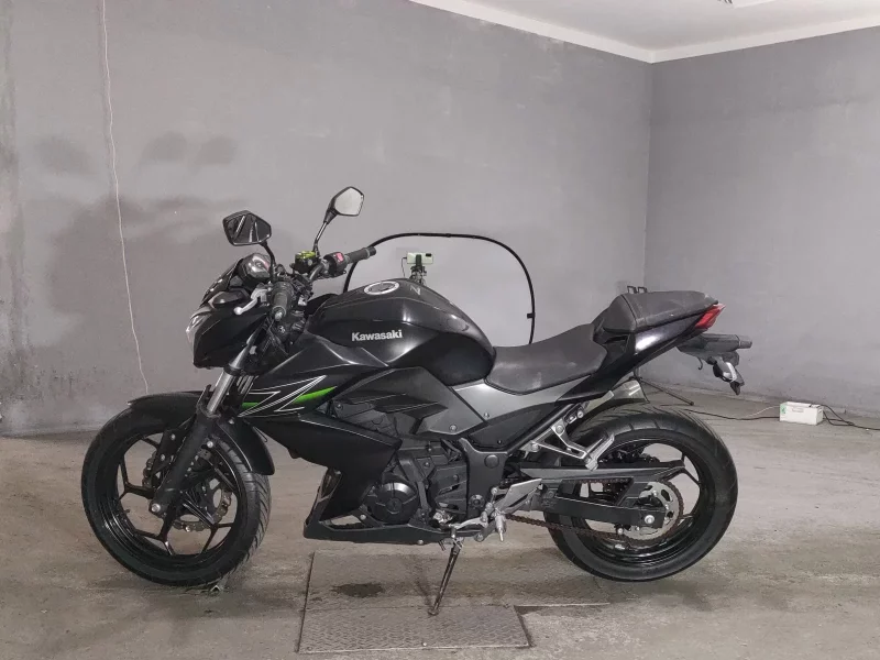Kawasaki Z250