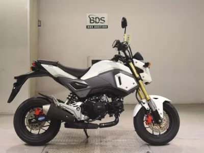 Honda GU ROM