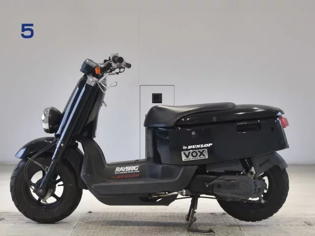 Yamaha VOX
