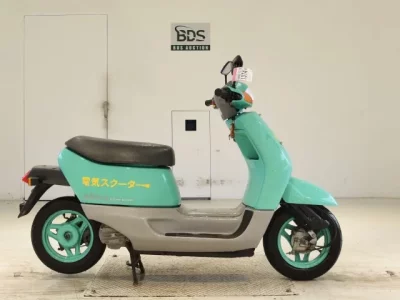 Other YAMATEES600