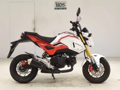 Honda GU ROM