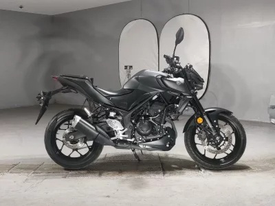 Yamaha MT-25