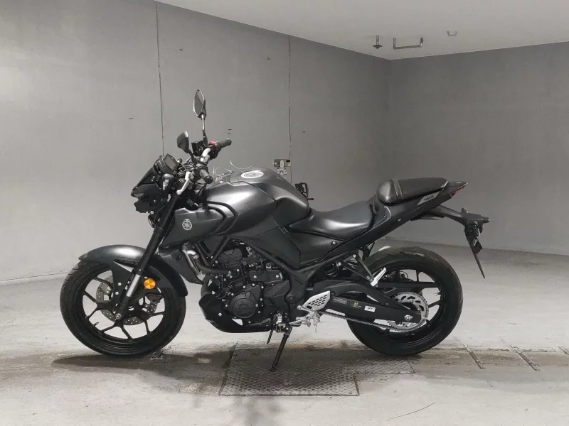 Yamaha MT-25