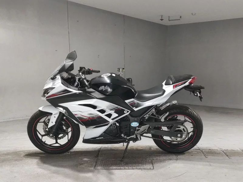 Kawasaki NINJA250