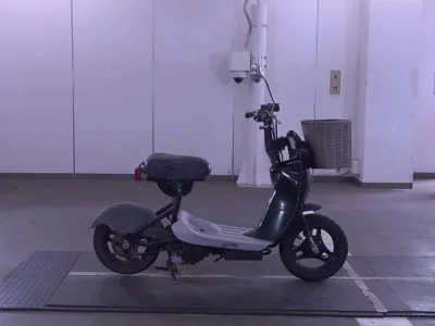 Suzuki CHOINORI