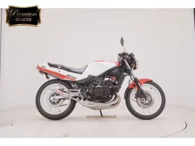 Yamaha RZ250R