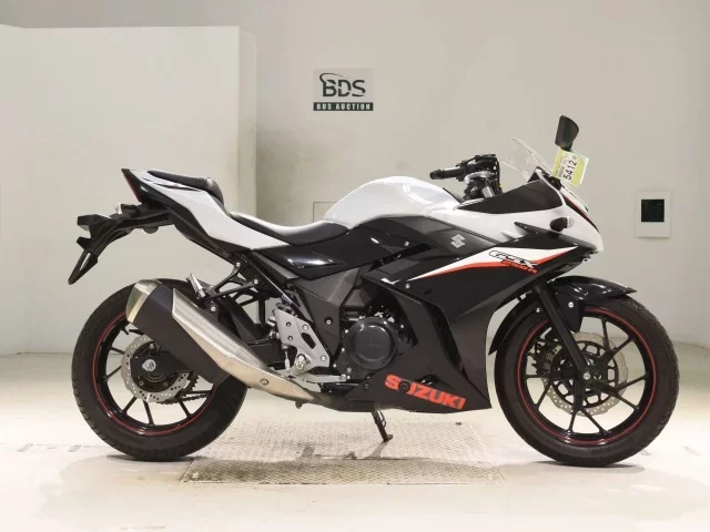 Suzuki GSX250R лот № 5412 оценка 5  с аукциона в Японии