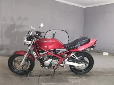 Suzuki BANDIT250-1