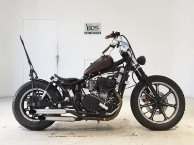 Kawasaki VULCAN400 SHO LOUIS NOT EQUIPPED